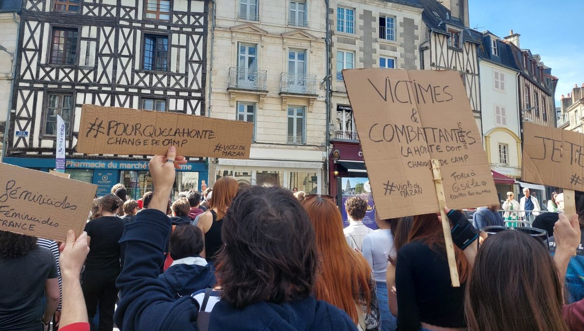 Pancartes brandies à Poitiers par des manifestants lors du rassemblement en soutien à Gisèle Pélicot et aux victimes de viols