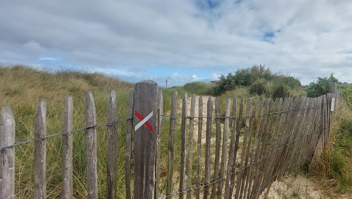 A Fréval, pour préserver la zone et permettre à la dune de se régénérer, il a été décidé de déménager le sentier littoral 200 mètres plus haut.