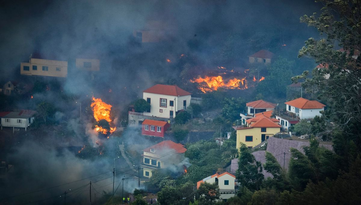 Incendies à Madère