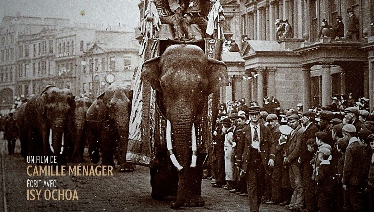 Affiche du documentaire consacré à Fritz, l'éléphant