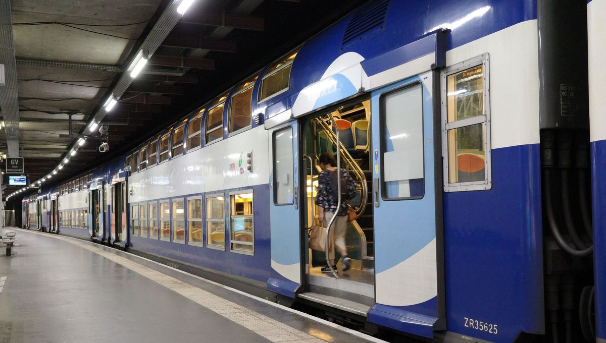 Un train du RER D stationne en gare (illustration)