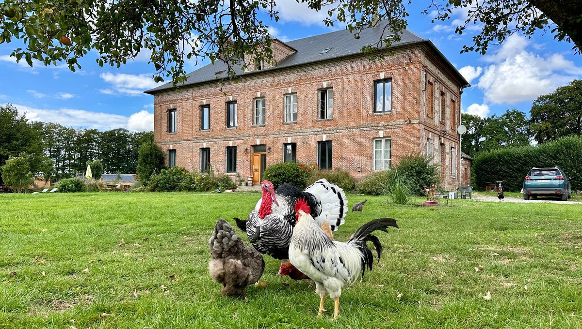 L'hiver dernier, l'association La Patte Normande a racheté ce clos-masure pour en faire un sanctuaire pour animaux.