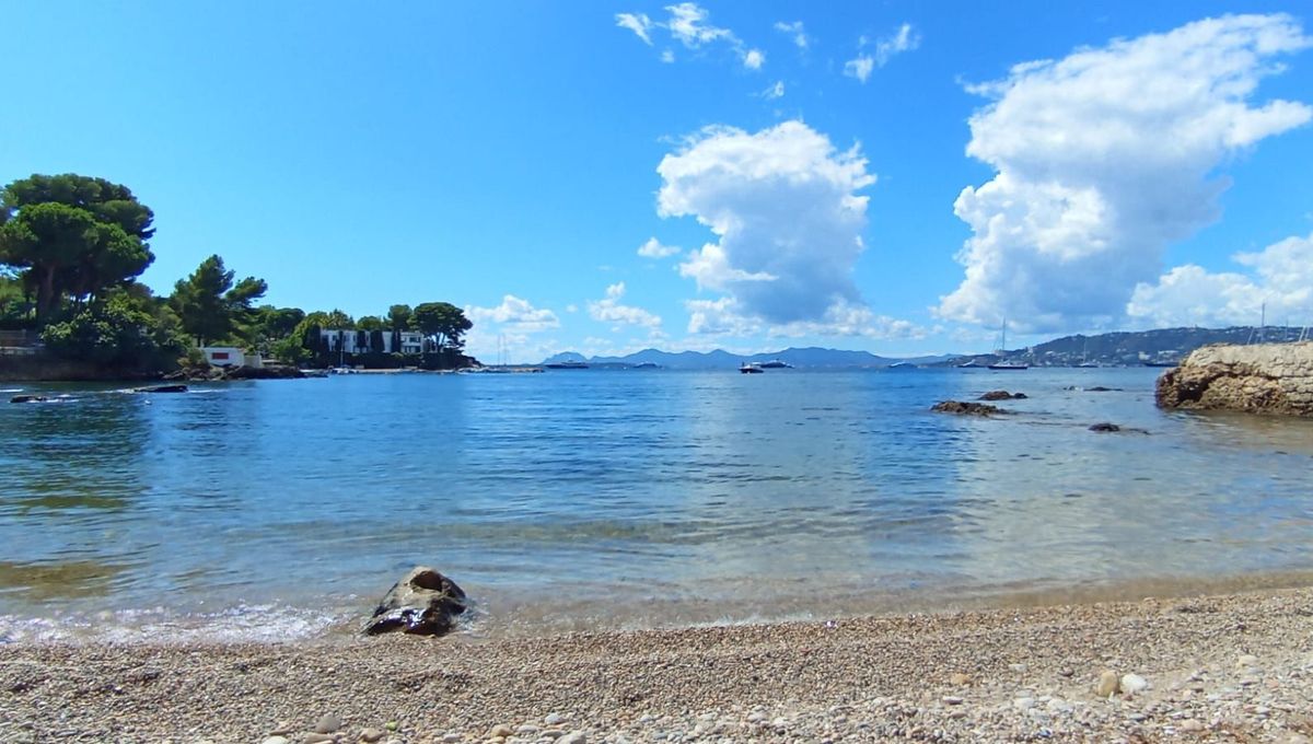 Quinze plages d'Antibes Juan-les-Pins sont fermées durant deux jours.