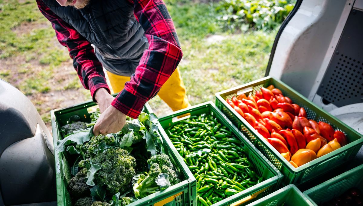 Un producteur avec ses légumes