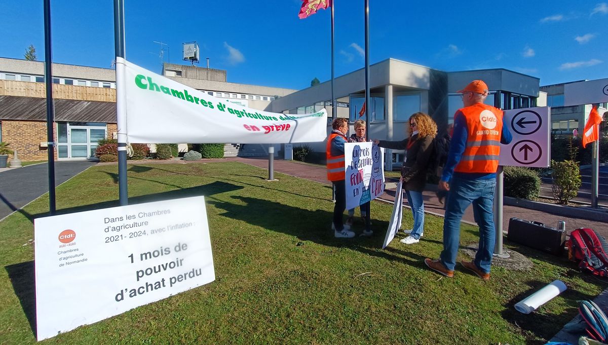 Les salariés en grève devant la Chambre d'Agriculture de Normandie