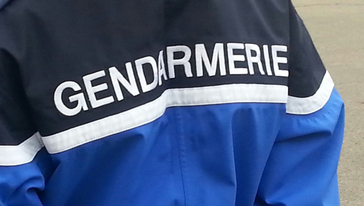 gendarmes illustration