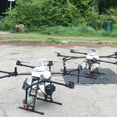 Deux drones de 24 kg chacun survolent les chênes pendant 15 minutes pour diffuser le produit