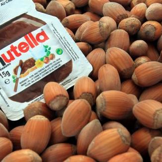 L'usine Ferrero de Villers-Ecalles en Seine-Maritime produit 600 000 pots de Nutella chaque jour