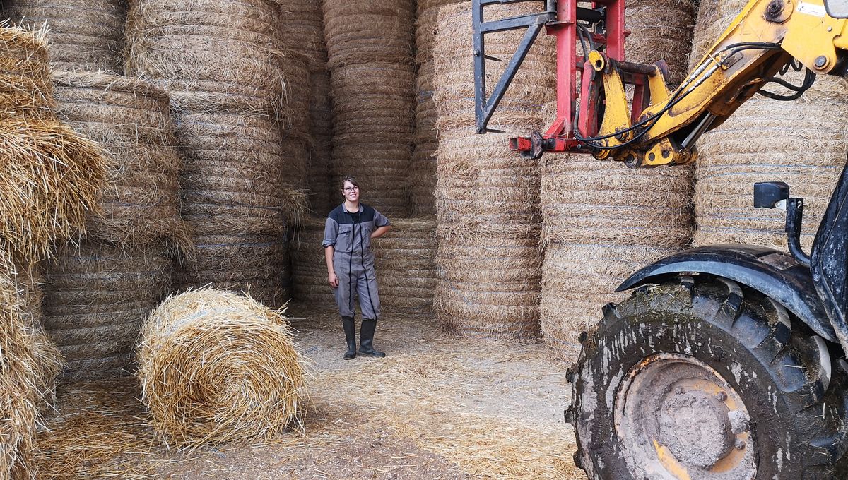 Lisa Moreau envisage de reprendre la ferme de ses parents. En attendant, elle travaille comme agent de remplacement comme ici à Noiron-sur-Bèze.