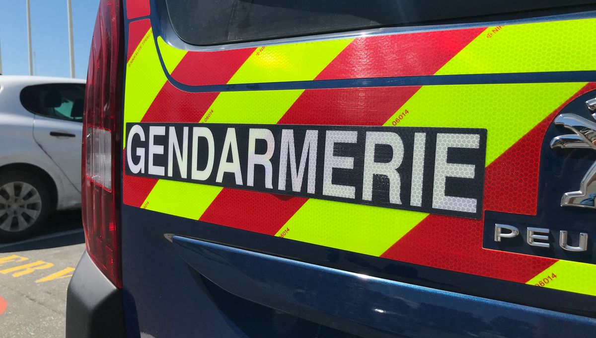 Véhicule de gendarmerie. (Illustration)