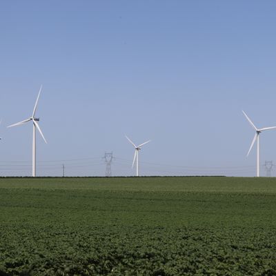 Un projet d'installation de huit éoliennes sur le plateau agricole de la Vôge. Photo d'illustration.