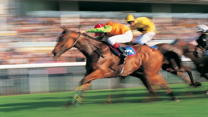 Les pronostics hippiques de Gérard Mot pour le tiercé, quarté, quinté+, le Prix du Havre à Dauville (30/07)