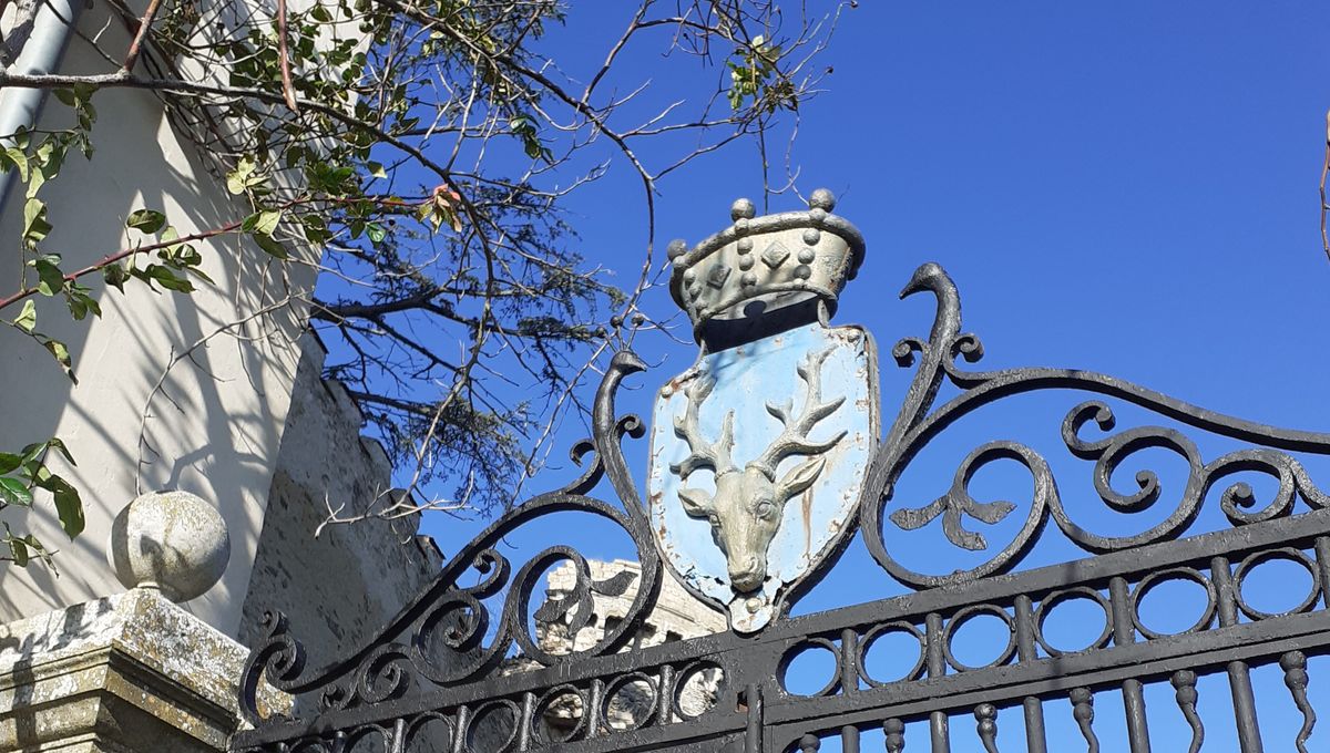 Grille du château de veauce dans l'Allier