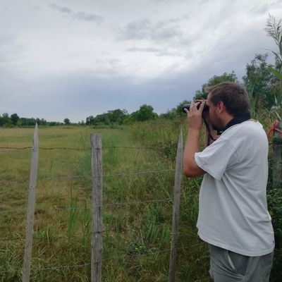 Nicolas Gendre, ornithologue à la Ligue pour la protection des oiseaux (LPO), observe une cigogne blanche vers Brueil-Magné, en Charente-Maritime.