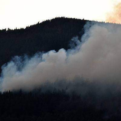 Plus d'une centaine de pompiers sont sur le terrain depuis vendredi pour éteindre le feu de forêt qui s'est déclenché dans le Pilat au-dessus de la Valla-en-Gier.