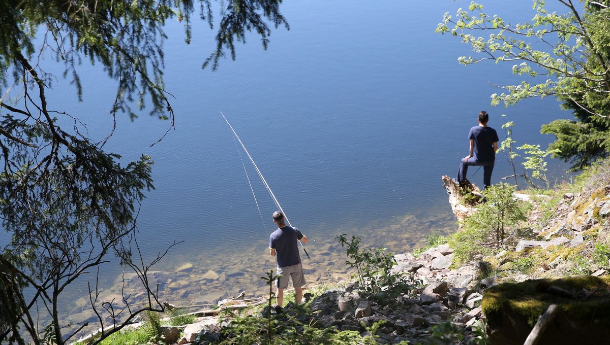 Le pêcheur de 30 ans se noie dans le lac de Joy à Montlaur- Bernet , sous les yeux de son fils de 8 ans (Photo Illustration)