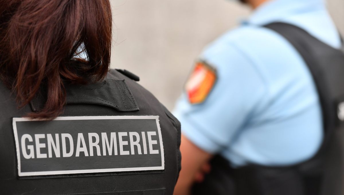 Les gendarmes ont été appelés sur place (photo d'illustration).