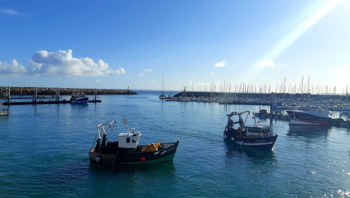 Arrivée de bateaux de pêche à Saint-Quay-Portrieux dans les Côtes d'Armor