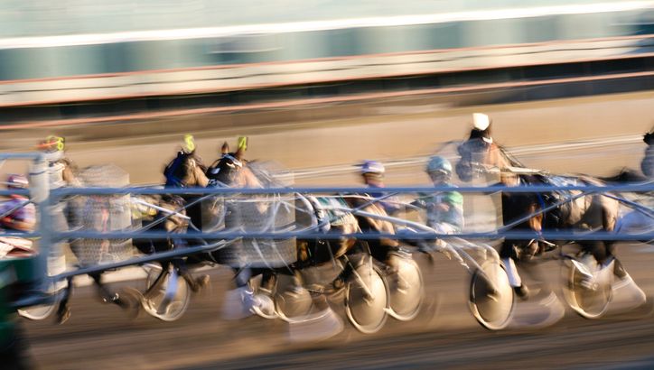 Les pronostics hippiques de Gérard Mot pour le tiercé, quarté, quinté+, le Prix de la Tremblade à Vincennes (22/12)