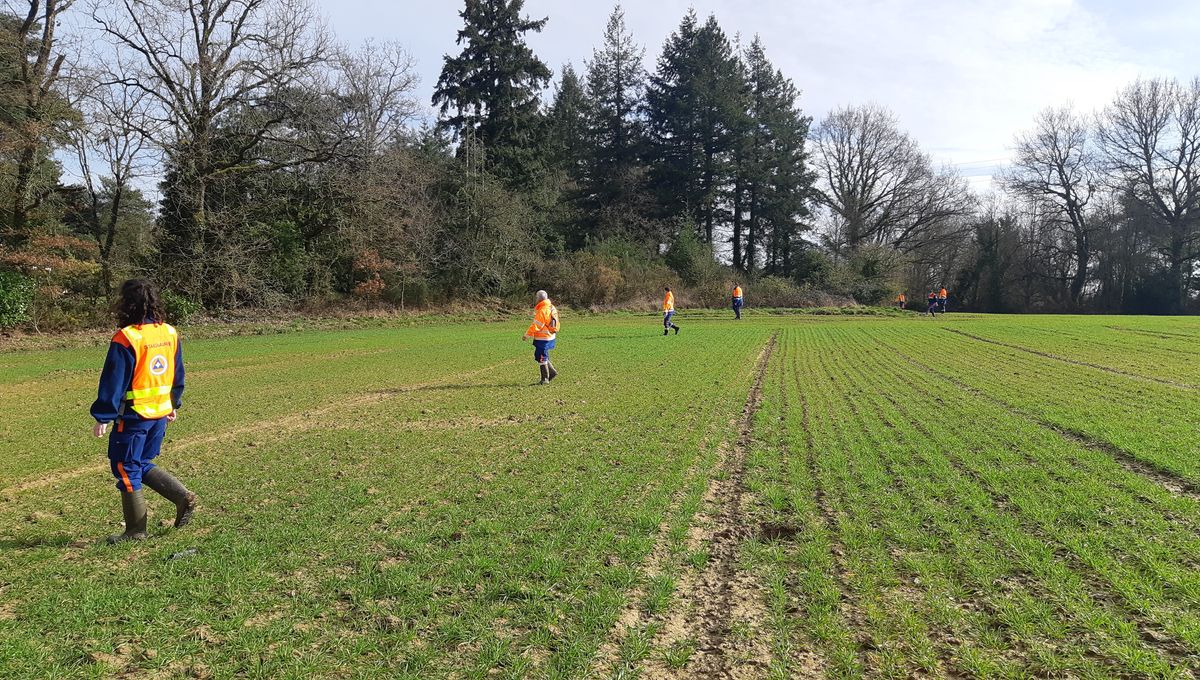 Une battue était organisée dans le secteur de la forêt de Saint Lazarre à Montfort-sur-Meu