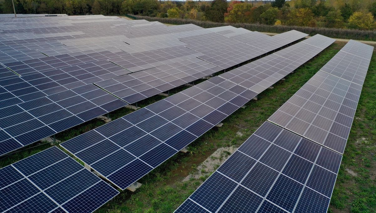 La Ville de Castelnau-de-Médoc souhaite installer un parc solaire au niveau de la forêt communale. (Illustration)