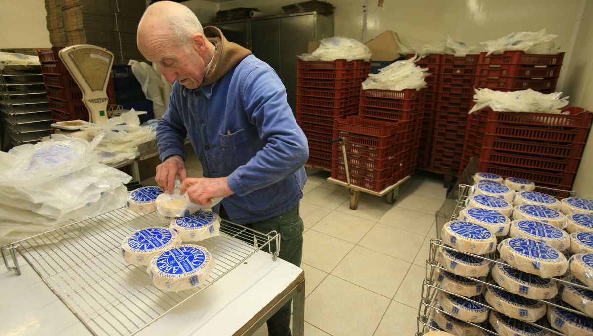 La vente de fromage est le principal revenu de l'abbaye de Citeaux 