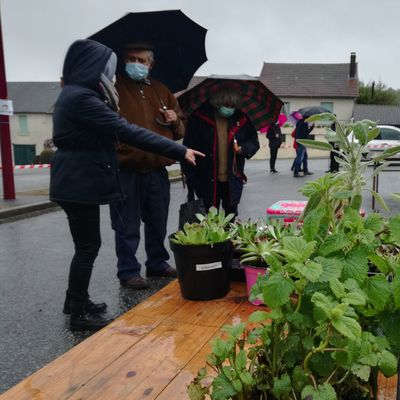 La pluie n'a pas dissuadé quelques courageux jardiniers pour la bourse aux plantes du 16 mai à Montaigut-Le-Blanc en Creuse.