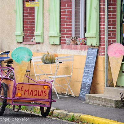 Le Maquis de Vareilles photographié par Marie-Georges Stavelot