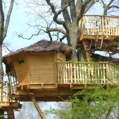 Douze cabanes pour passer la nuit et observer la nature environnante.