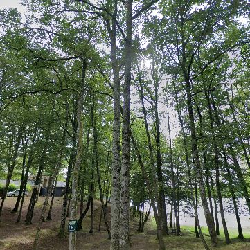 La plage du Maury à Liginiac est située face à celle de Neuvic-d'Ussel, déjà labellisée Pavillon Bleu