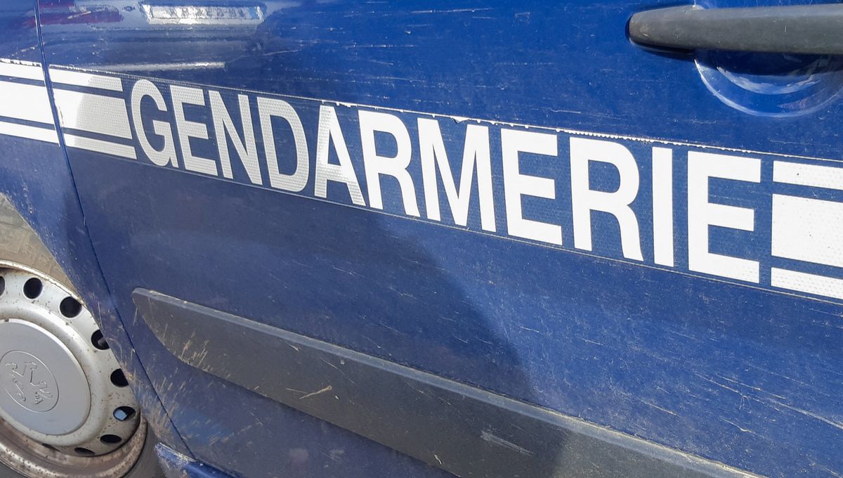 Les gendarmes ont été appelés sur place