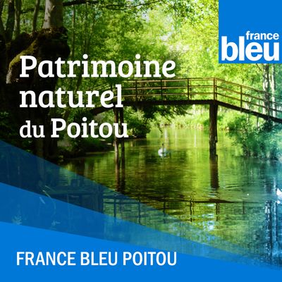 Patrimoine naturel du Poitou