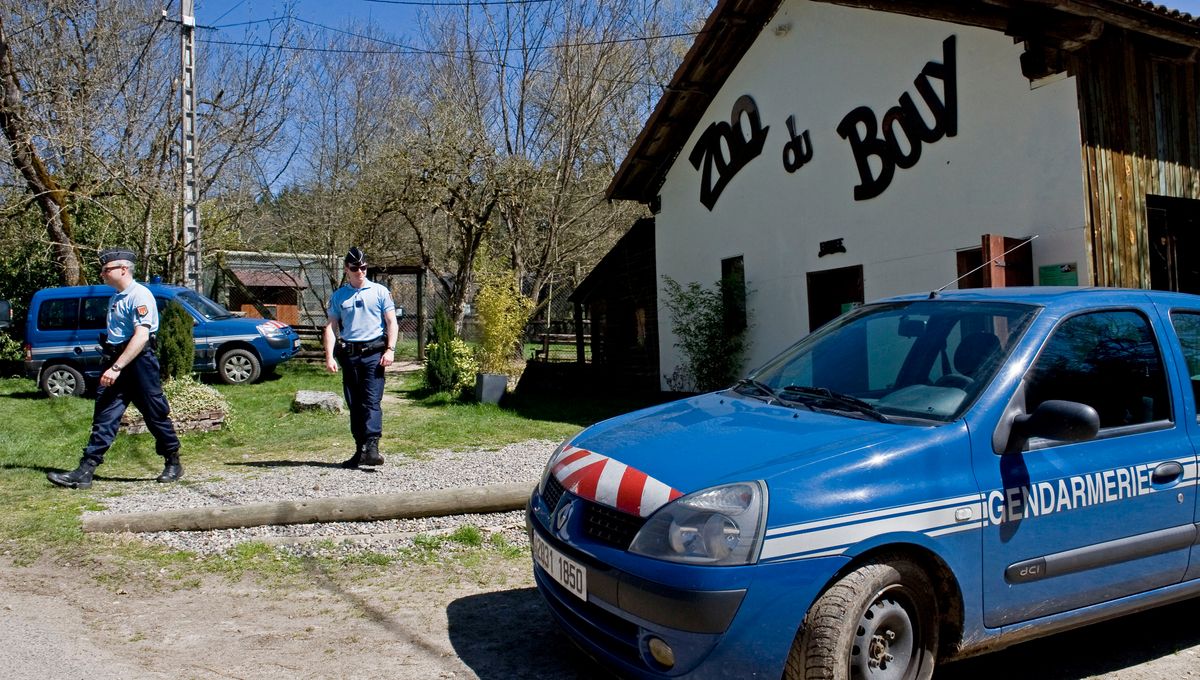 Plus de 150 animaux avaient été évacués du zoo du Bouy en avril 2015.