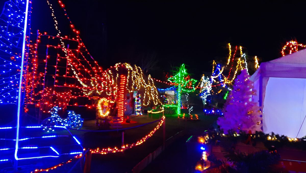 Hervé Bonenfant a transformé son terrain en jardin de Noël.