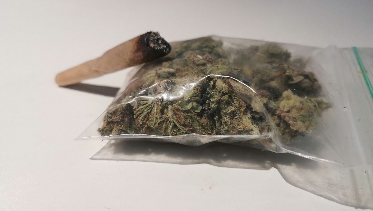 Les trafiquants importaient des centaines de kilos de cannabis tous les mois en Moselle.