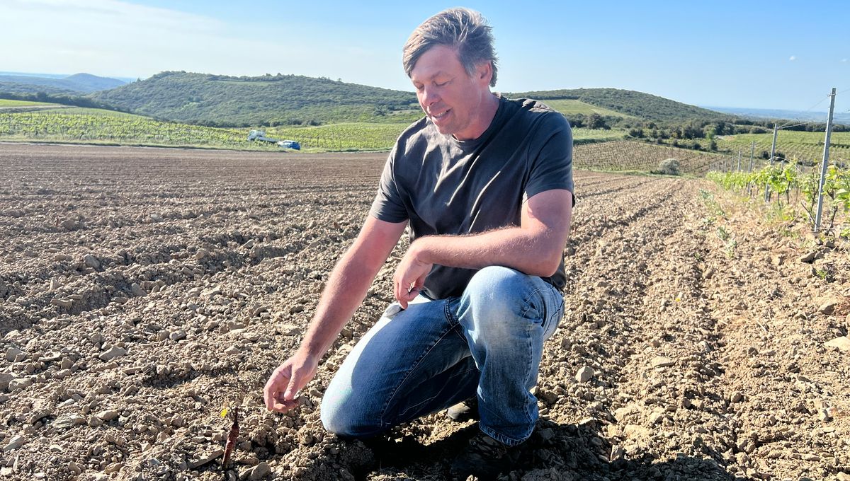 Jérôme Salles, un des six viticulteurs de l'AOP de Faugères dans l'Hérault