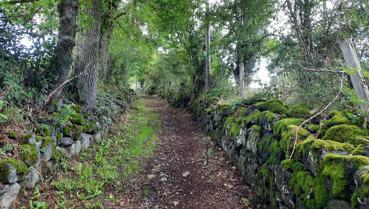 Sentier de la cheire de Pontgibaud dans le Puy de Dôme