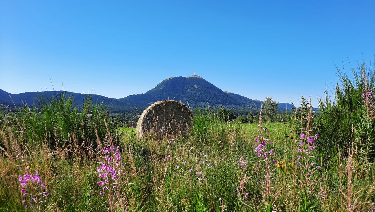 Vue sur le puy de Dôme depuis la plaine de Beaune le Chaud