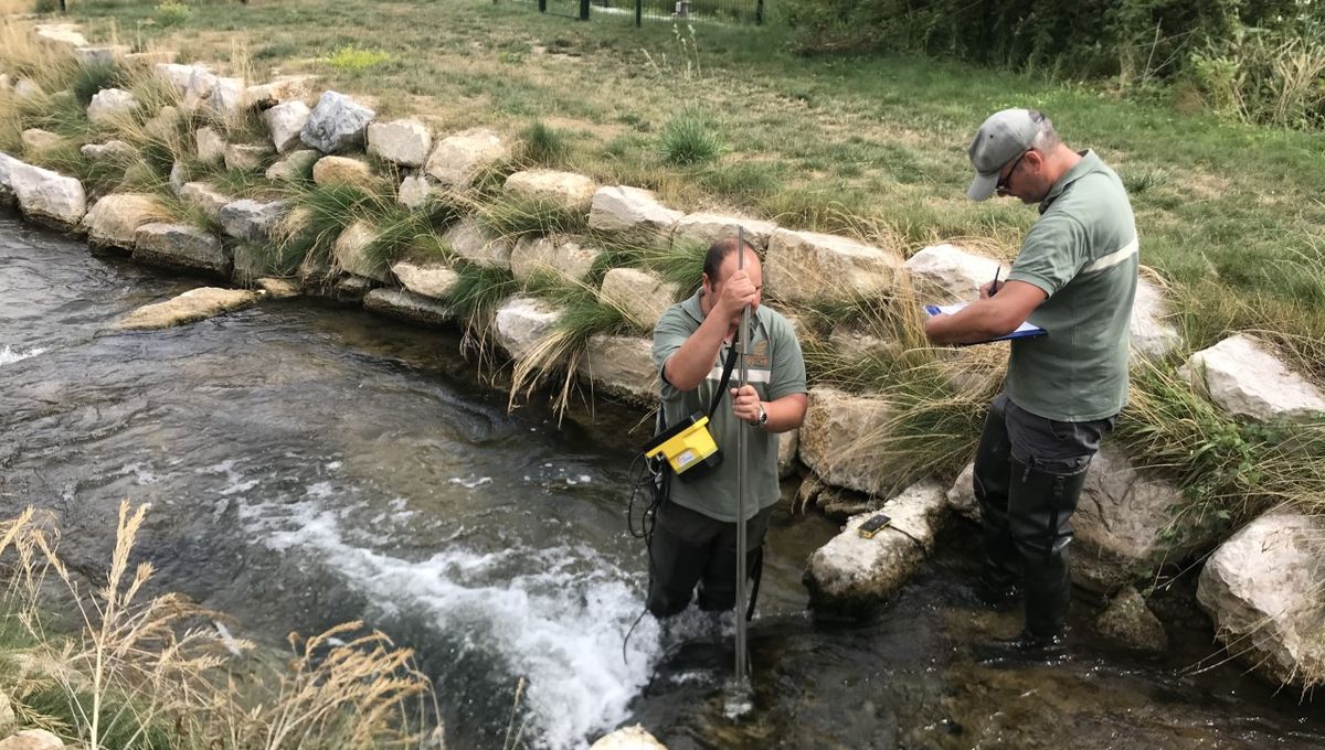 Des membres de la Fédération de pêche de Côte-d'Or procèdent à des relevés (hauteur, débit) dans l'eau de l'Ignon 