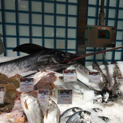 L'étal d'une poissonnerie dans un supermarché.