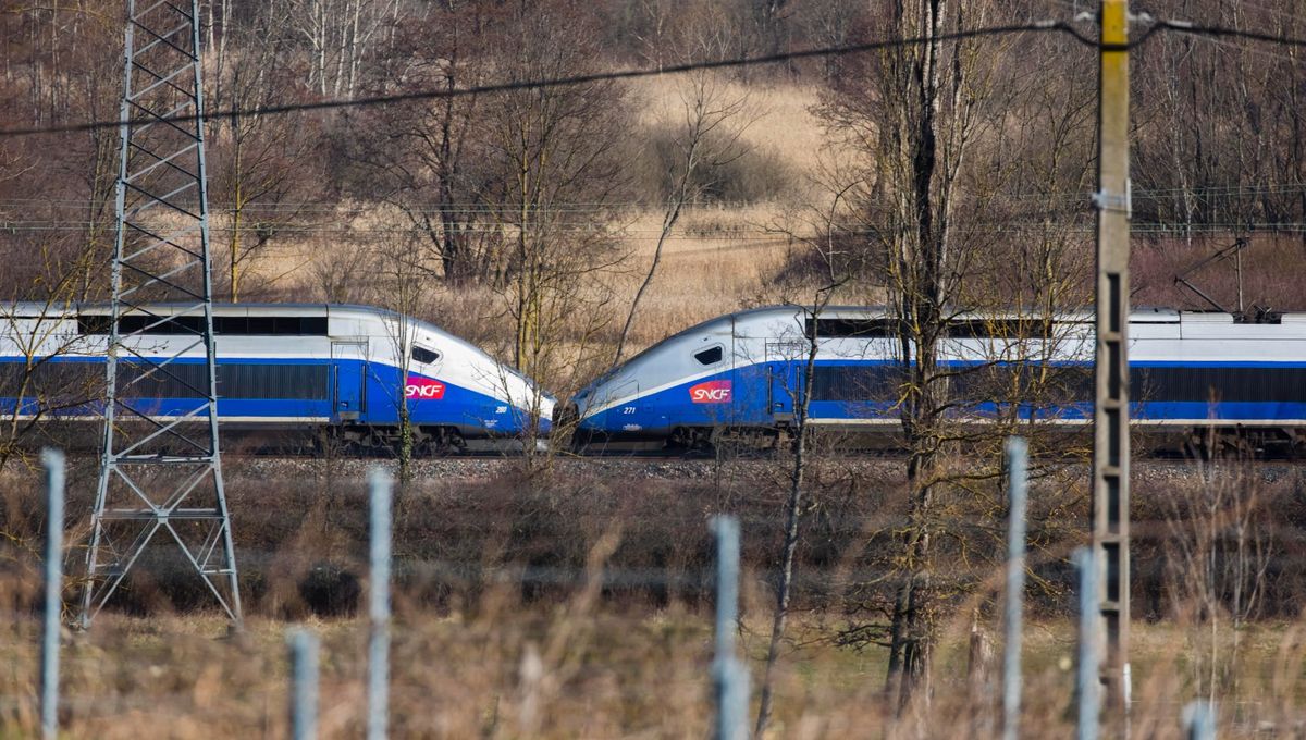 La Ligne nouvelle doit permettre de réduire le temps de trajet entre Marseille et Nice en passant par le Var