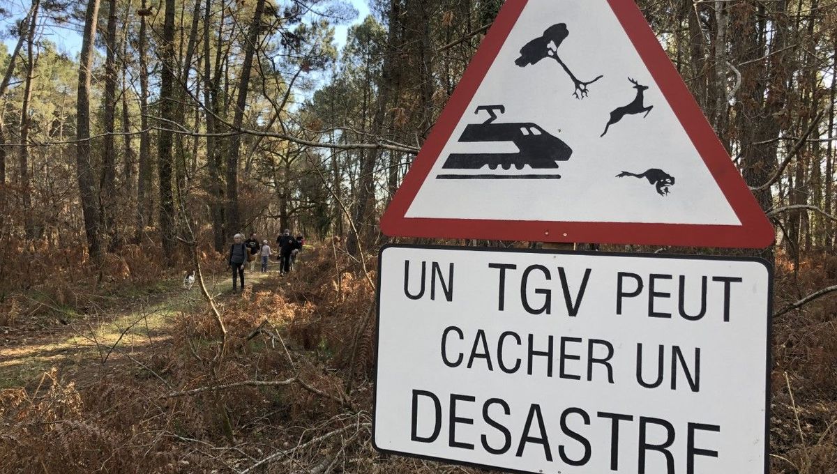 Le collectif LGV Nina alerte sur la "catastrophe écologique" que serait cette LGV.