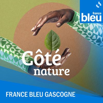 Côté Nature dans les Landes