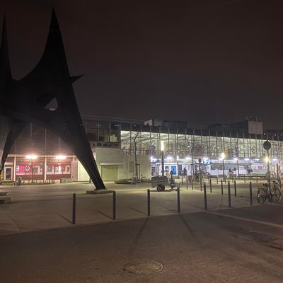 Les enfants ont été conduits dans la soirée à la gare à Grenoble pour être ramené en région parisienne soit par un OuiGo, soit par leurs parents.