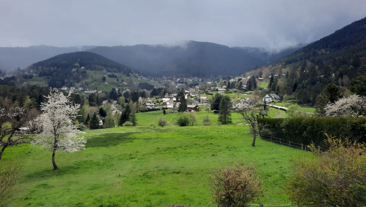 Les habitants du village de Wangenbourg-Egenthal sont divisés sur la pertinence du projet d'implantation d'un centre de loisirs dédié au VTT dans leur commune.