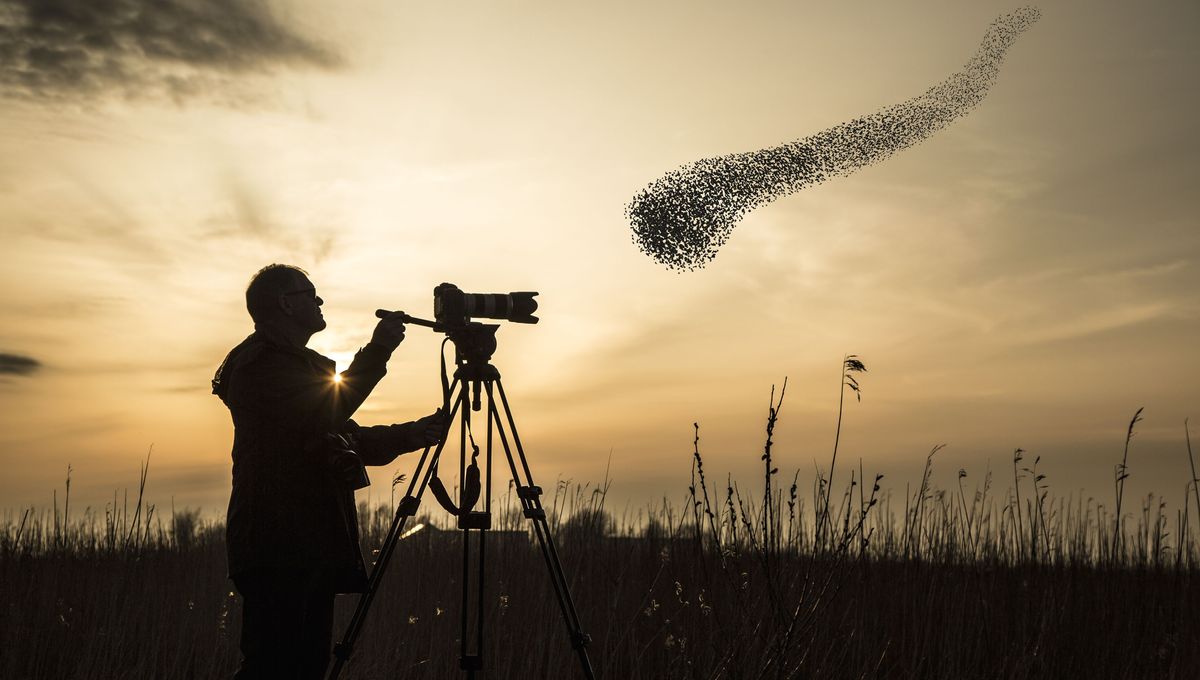 Photographe animalier