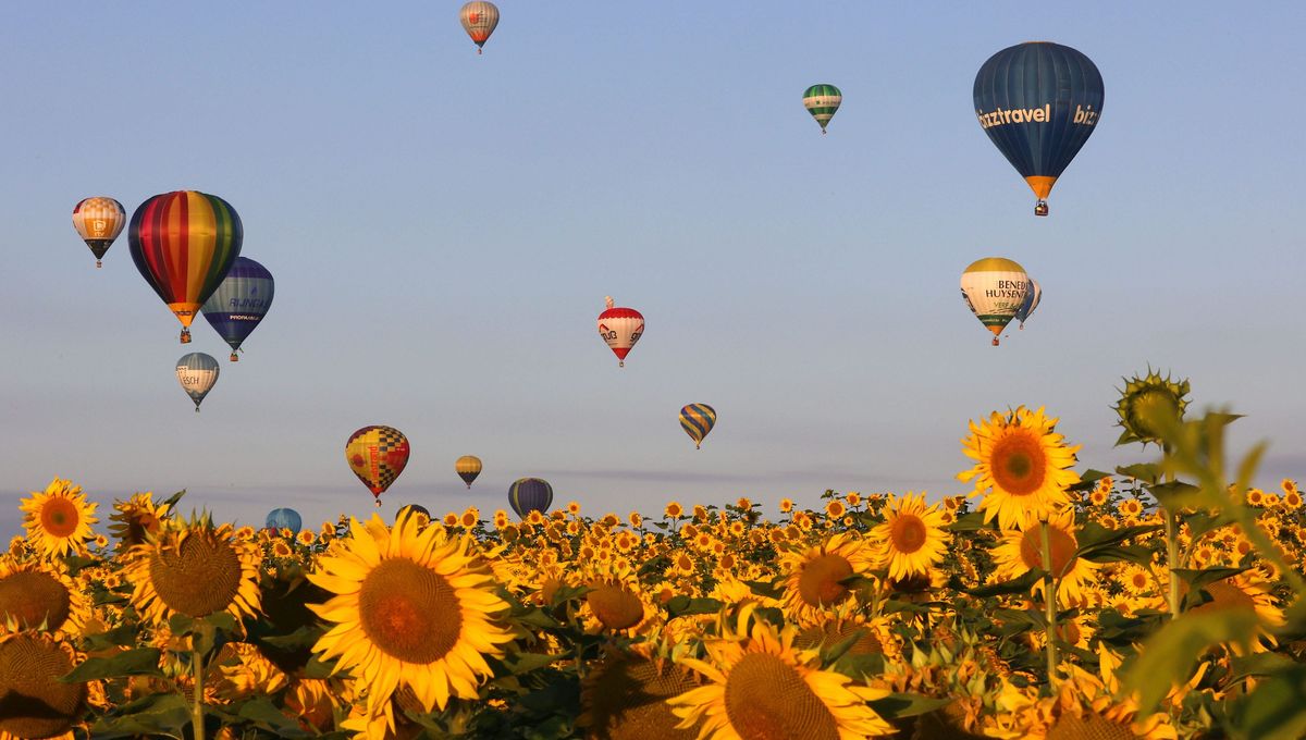 Le Grand-Est Mondial Air Ballons, du 21 au 30 Juillet à Chambley avec France Bleu Lorraine