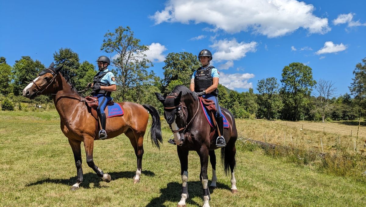 Deux des six cavaliers et leurs chevaux de la Garde Républicaine, mobilisés cet été dans la Chaîne des Puys.