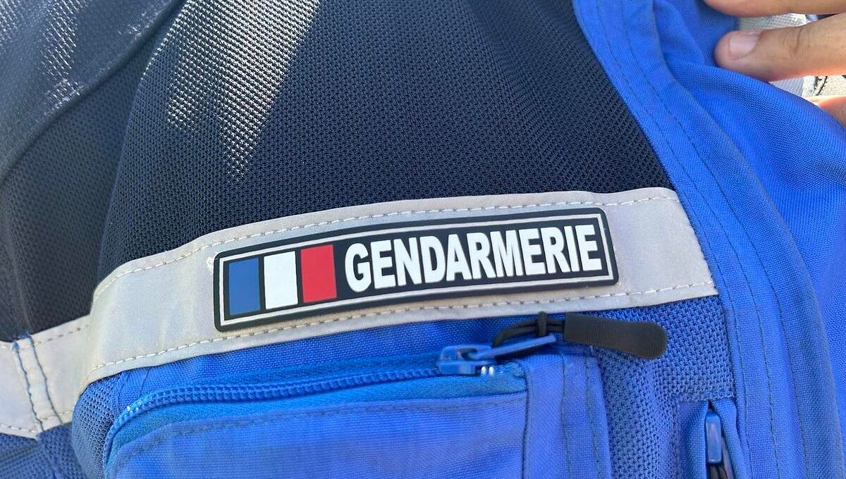 Les gendarmes ont interpellé deux hommes à Auray qui s'adonnaient à la culture du cannabis (photo d'illustration)