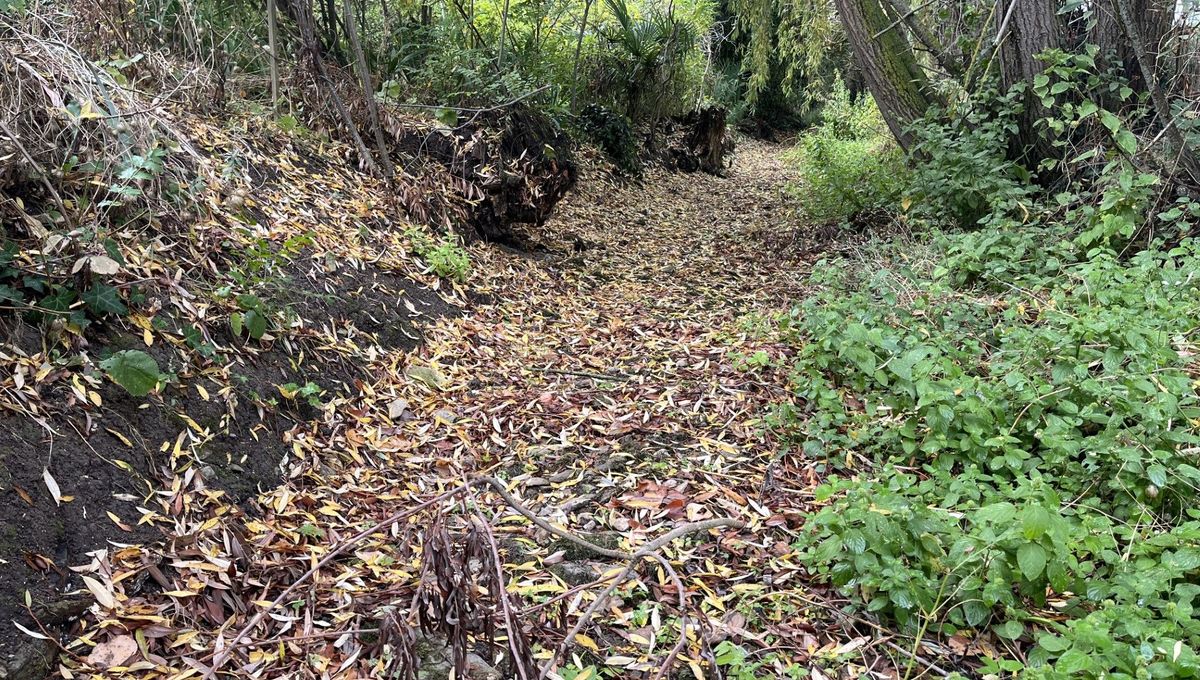 Le lit du ruisseau à Massognes, dans le Nord-Vienne, est totalement à sec